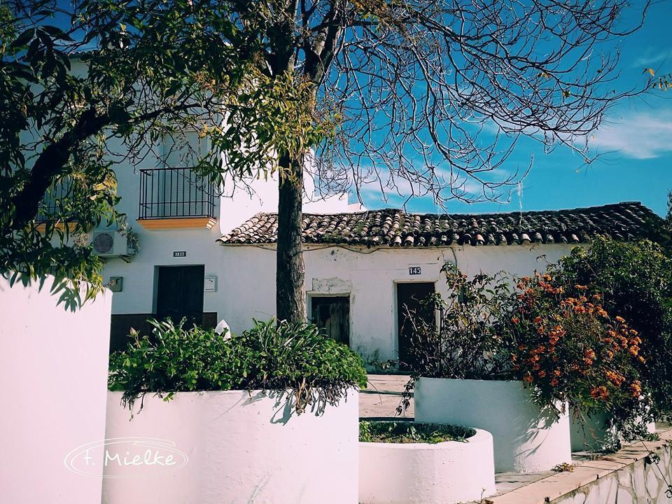 La Carrihuela Guest House Algodonales Bagian luar foto