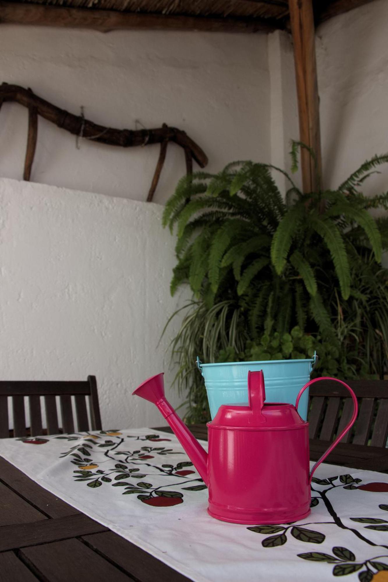 La Carrihuela Guest House Algodonales Bagian luar foto