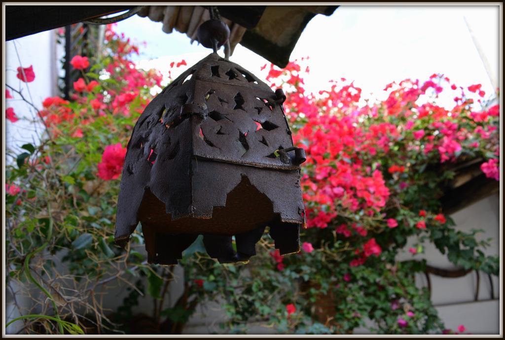 La Carrihuela Guest House Algodonales Bagian luar foto