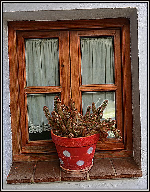 La Carrihuela Guest House Algodonales Bagian luar foto