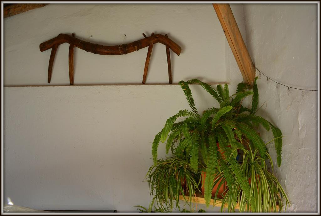 La Carrihuela Guest House Algodonales Bagian luar foto