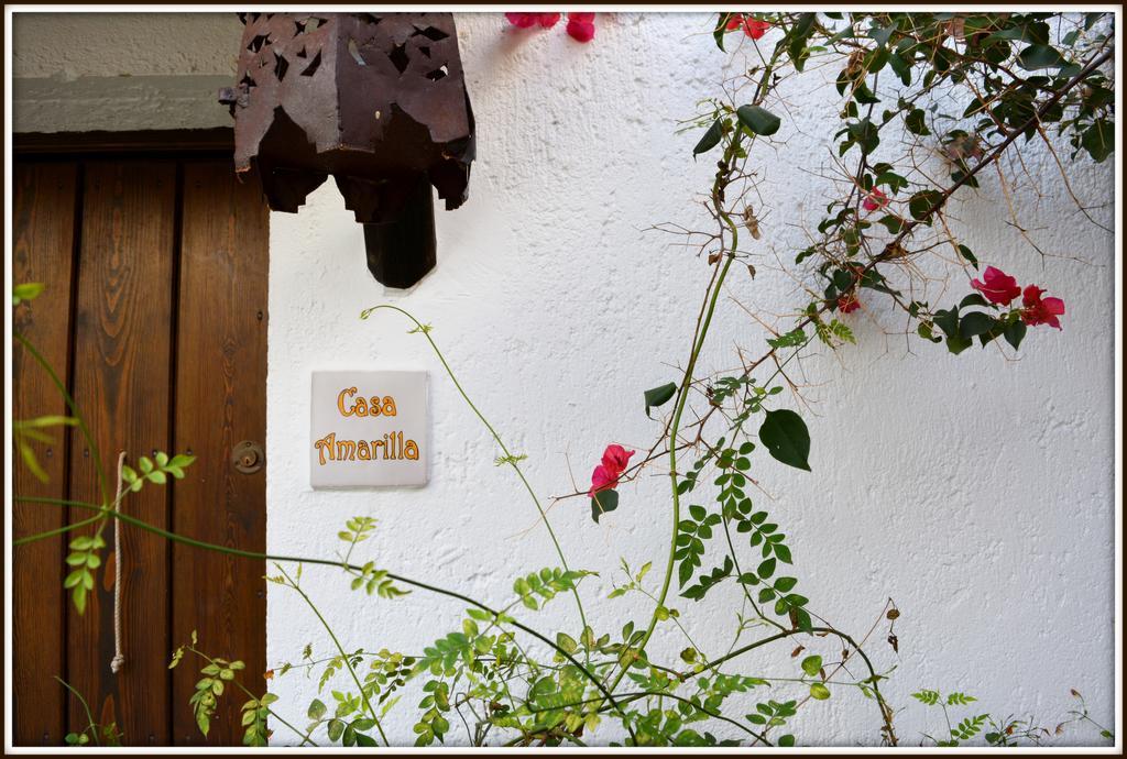 La Carrihuela Guest House Algodonales Bagian luar foto